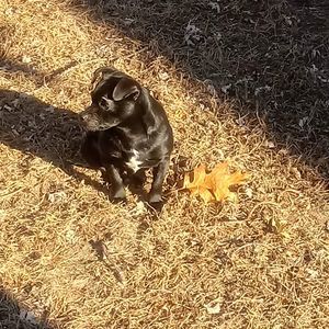 Meet your Posher, Juan